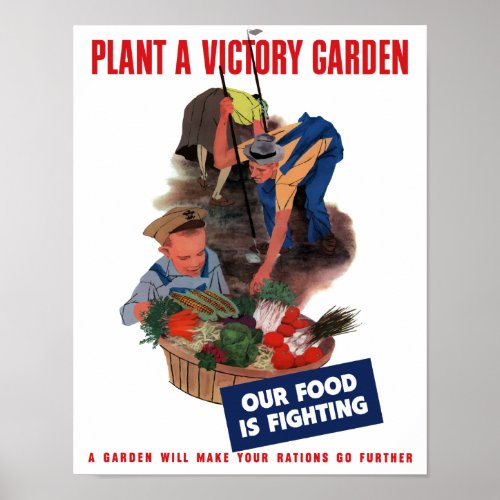 Plant a victory garden __ Our food is fighting Poster