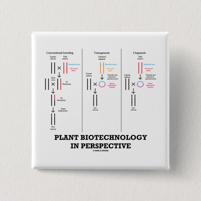 Plant Biotechnology In Perspective (Transgenesis) Pinback Button (Front)
