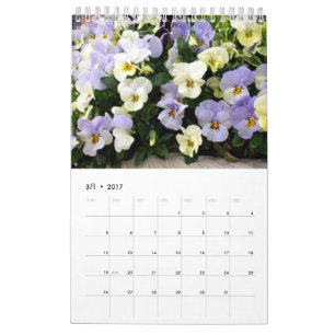 Plant Calendar 2017