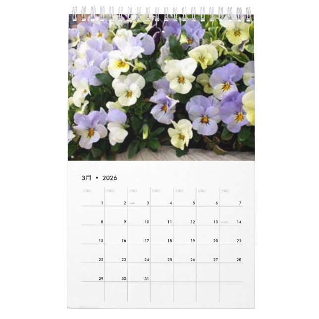 Plant Calendar 2017 (Mar 2026)