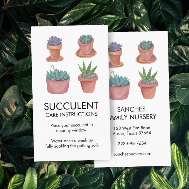 Plant Care Instructions Houseplant Succulent Cacti Business Card (Plant Care Instructions Houseplant Succulent Cacti Business Card
)