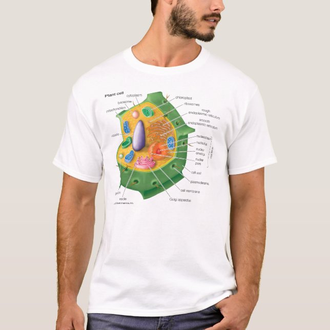 Plant Cell GET EDUCATED T-Shirt (Front)