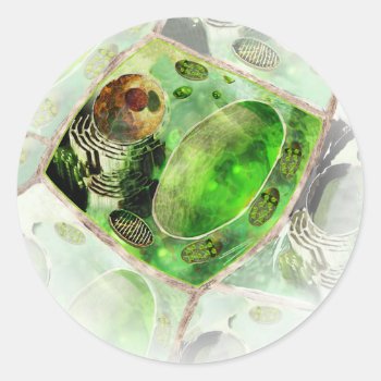 Plant Cell Sticker by ScienceSpot at Zazzle