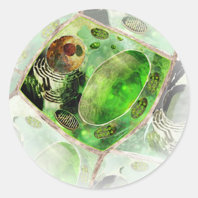 Plant Cell sticker (Front)