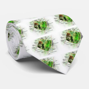 plant cell tie