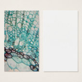 plant cells micrography (Front & Back)