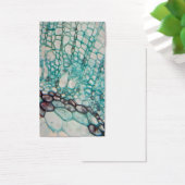 plant cells micrography (Desk)