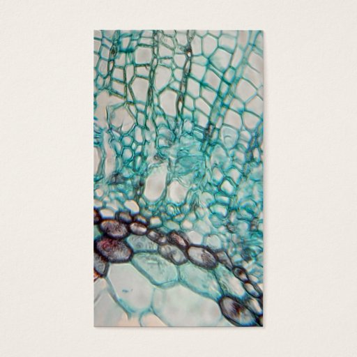 Customizable plant cells micrography business card templates