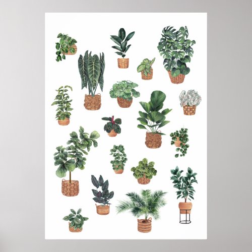 Plant collection 6 poster