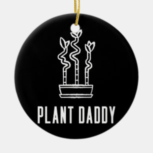 Plant Daddy Lucky Bamboo Houseplant  Ceramic Ornament