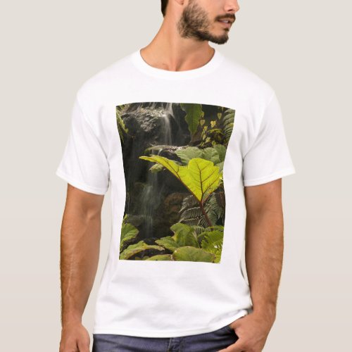 Plant detail at a botanical garden Ecuador T_Shirt