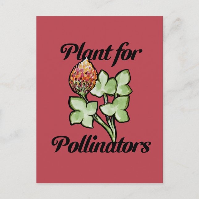 Plant for Pollinators                              Postcard (Front)
