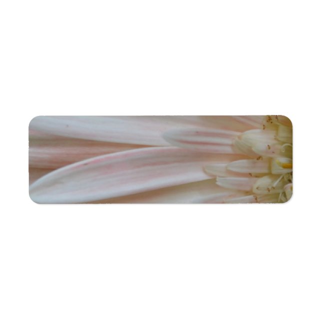 Plant for the Cure Flower Label (Front)