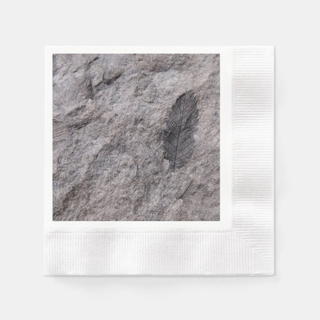 Plant Fossil 350 Million Yr. Old Printed Coctail Paper Napkins (Front)