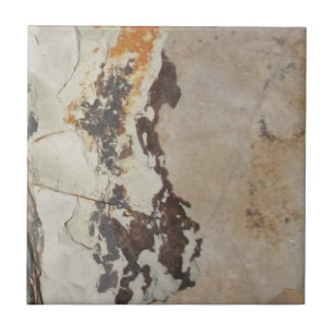 Plant Fossils from Fossil, OR Interesting Rocks Ceramic Tile