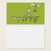 Plant Germination Illustration (Front & Back)