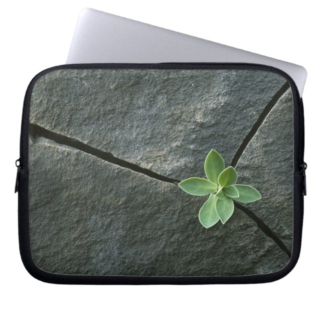 Plant Growing in Cracked Boulder Laptop Sleeve (Front)