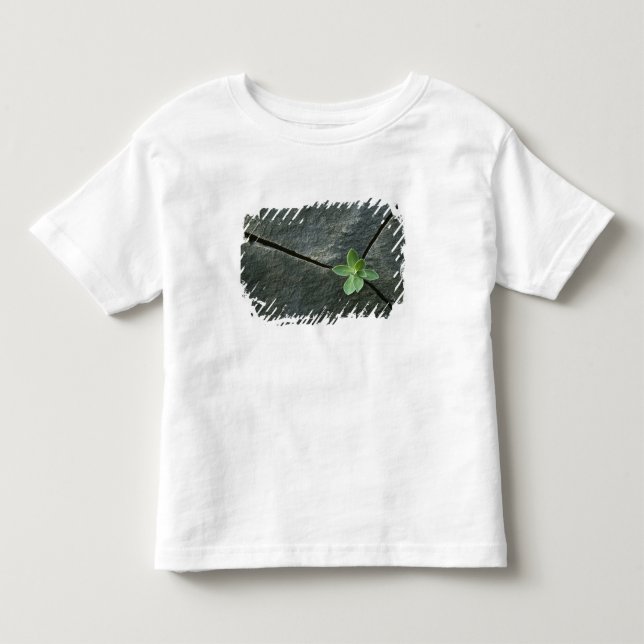 Plant Growing in Cracked Boulder Toddler T-shirt (Front)