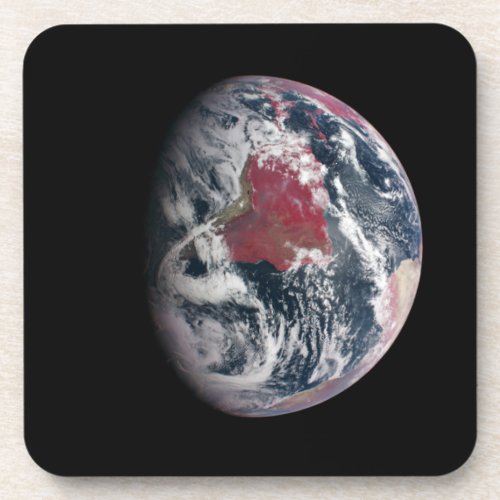 Plant Growth On Planet Earth Beverage Coaster