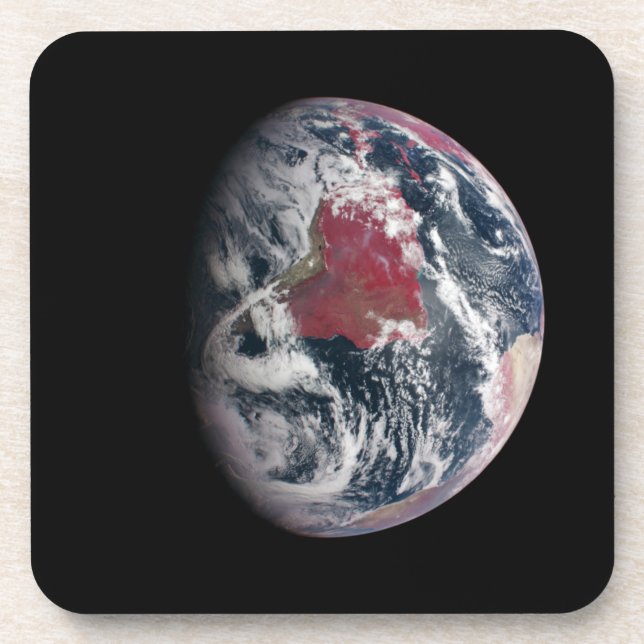 Plant Growth On Planet Earth. Beverage Coaster (Front)