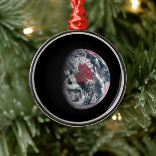 Plant Growth On Planet Earth Metal Ornament