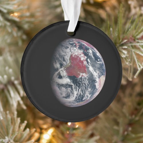 Plant Growth On Planet Earth Ornament
