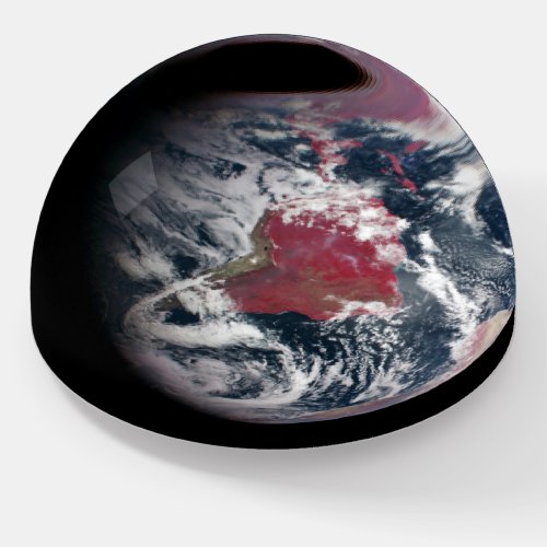 Plant Growth On Planet Earth Paperweight