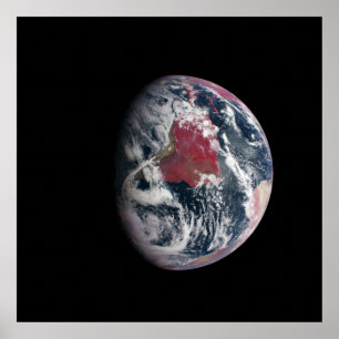 Plant Growth On Planet Earth. Poster