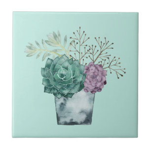 Plant Happiness Collection Succulents Ceramic Tile