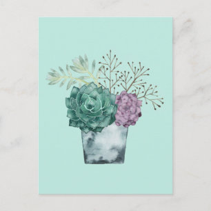 Plant Happiness Collection   Succulents Postcard