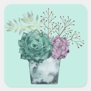 Plant Happiness Collection Succulents Square Sticker