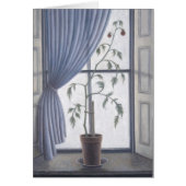 Plant in Window 2003 (Front)