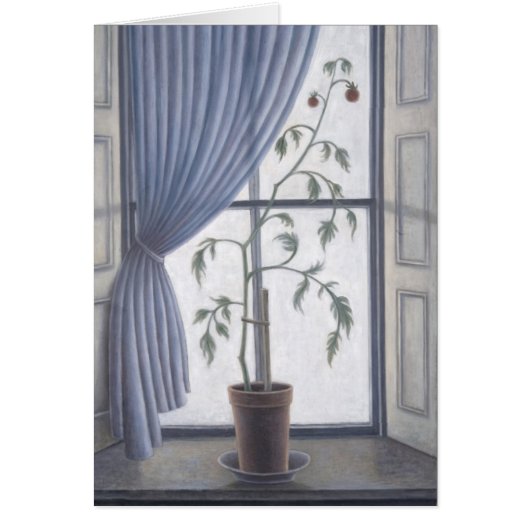 Plant in Window 2003 Cards (Front)