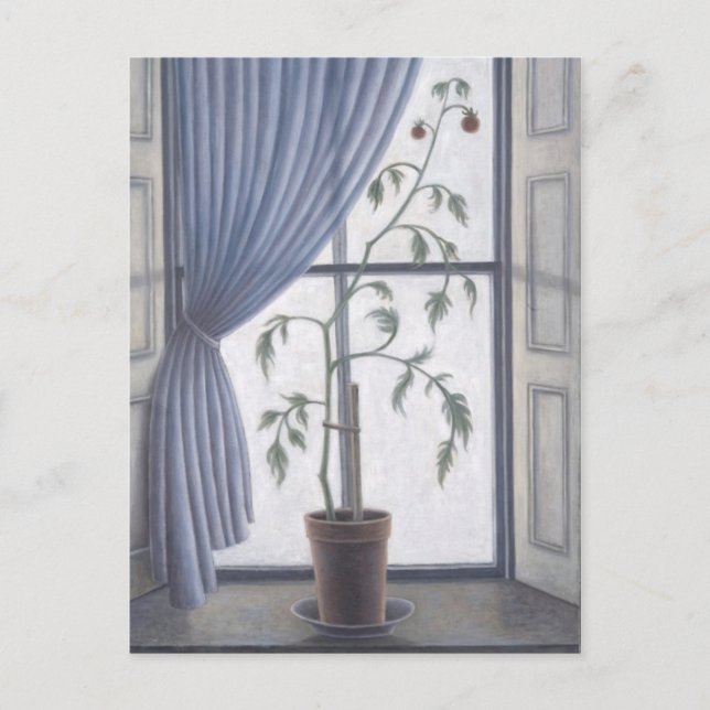 Plant in Window 2003 Postcard (Front)