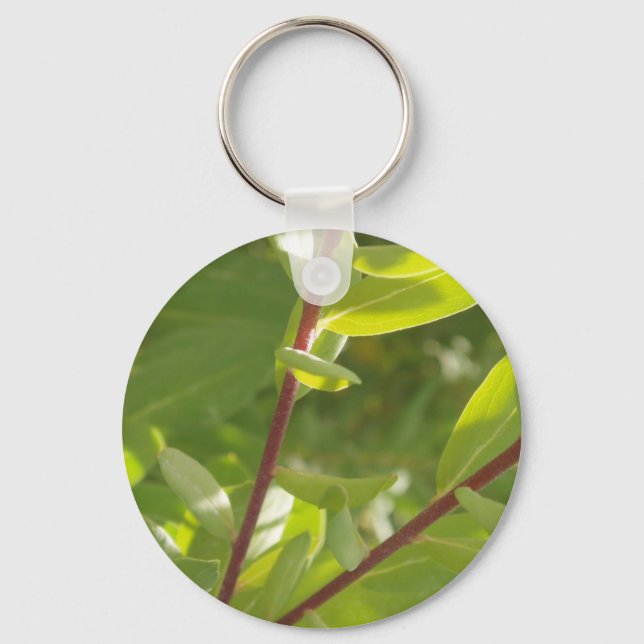 Plant Keychain (Front)