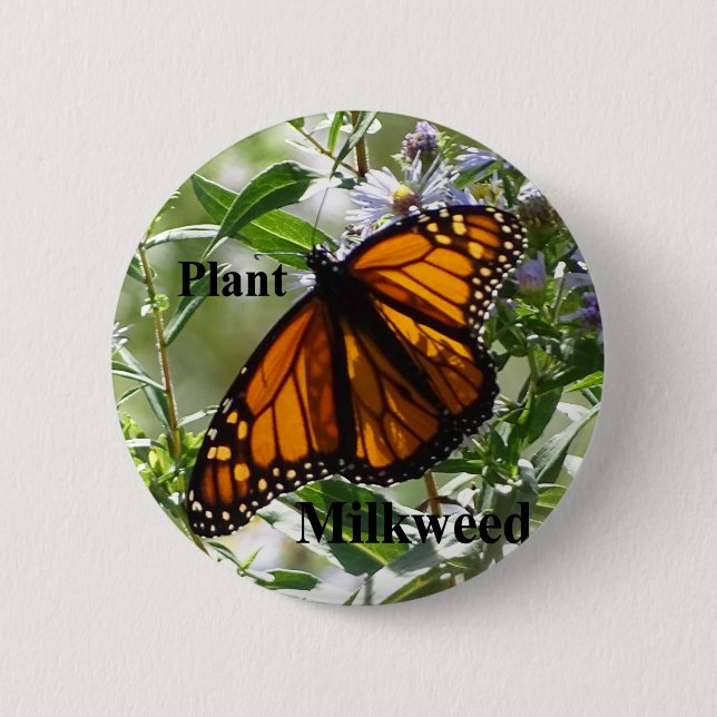 Plant Milkweed Button (Front)