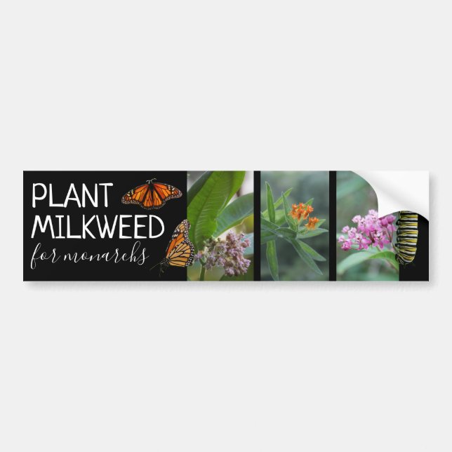 Plant Milkweed For Monarchs Custom Photos Bumper Sticker (Front)