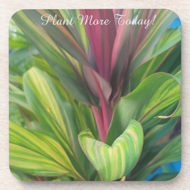 Plant More Beverage Coaster (Front)