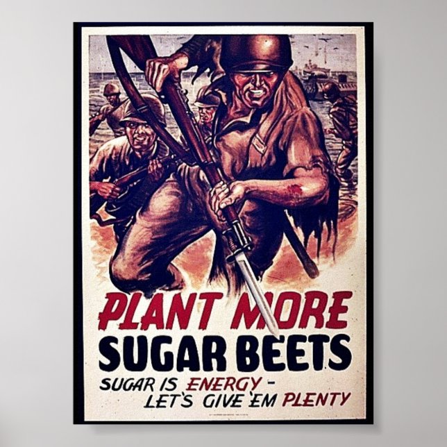Plant More Sugar Beets Poster (Front)
