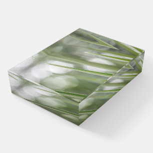 Plant Nature Photo Paperweight