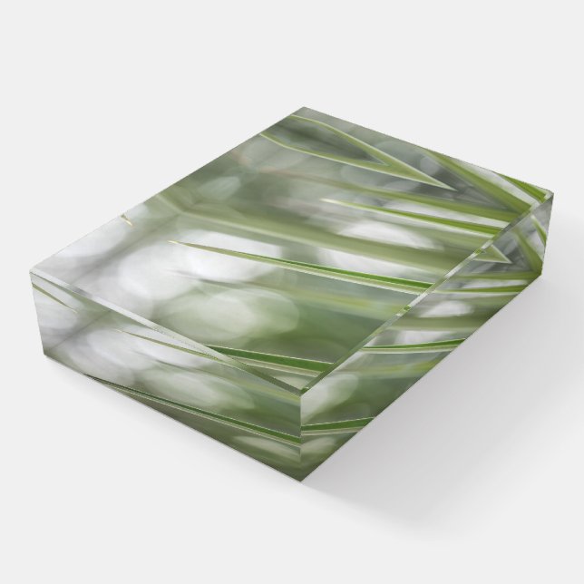 Plant Nature Photo Paperweight (Angled)