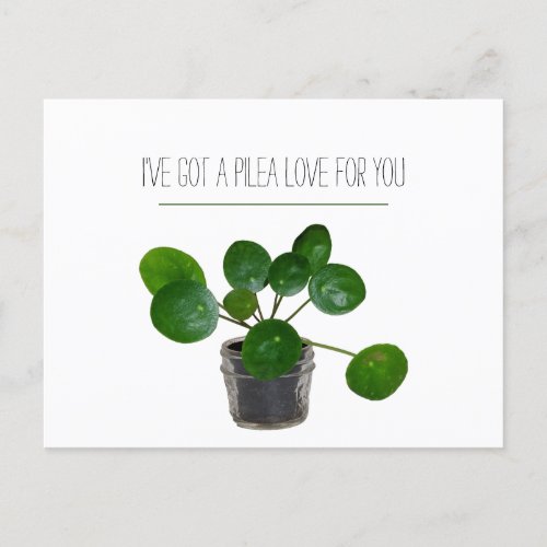 Plant Pun Pilea Funny Postcard Valentine