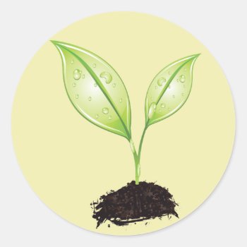Plant ~ Seedling Green Earth Leaf & Root Seed Classic Round Sticker by fotoshoppe at Zazzle