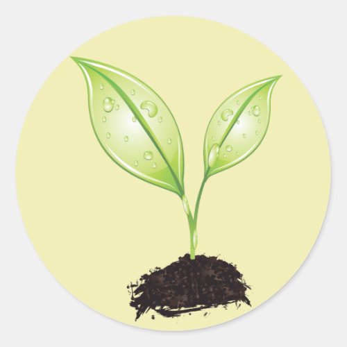 Plant  Seedling Green Earth Leaf  Root Seed Classic Round Sticker