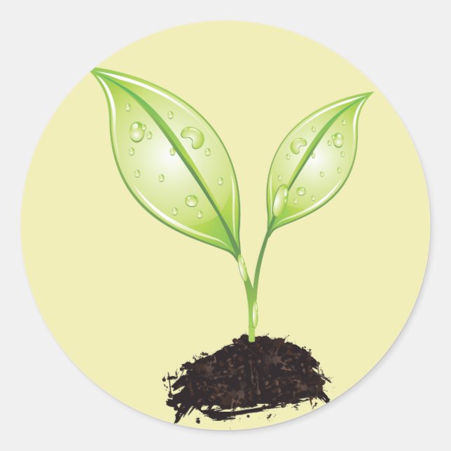 Plant ~ Seedling Green Earth Leaf & Root Seed Classic Round Sticker (Front)