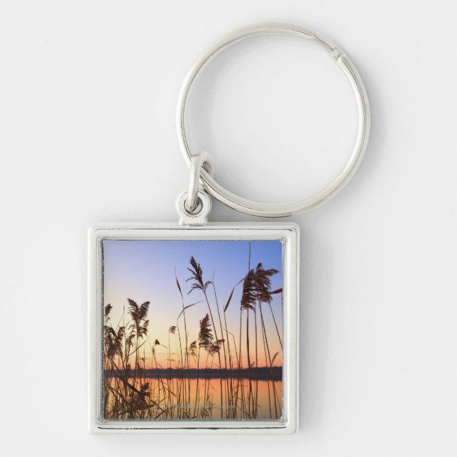Plant Silhouette by Lakeside sunset Keychain (Front)