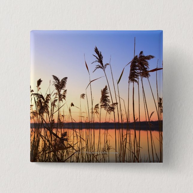 Plant Silhouette by Lakeside sunset Pinback Button (Front)