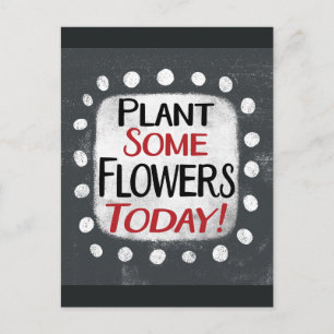 Plant Some Flowers Today Postcard