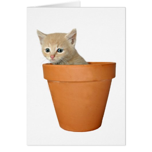 Plant some love cards (Front)