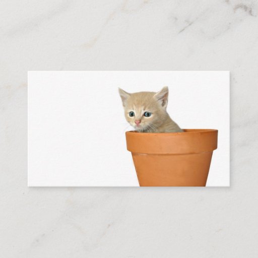 Customizable Plant some love profile card business cards